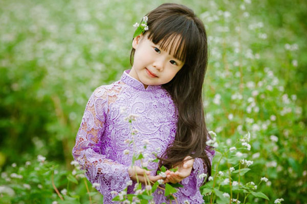 Bé gái bên cánh đồng hoa cúc họa mi